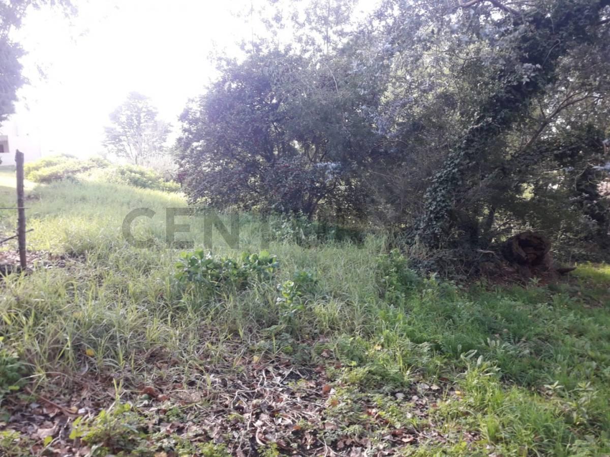 Foto de VENDO LOTE EN SIERRA DE LOS PADRES ZONA GOLF, imagen 5