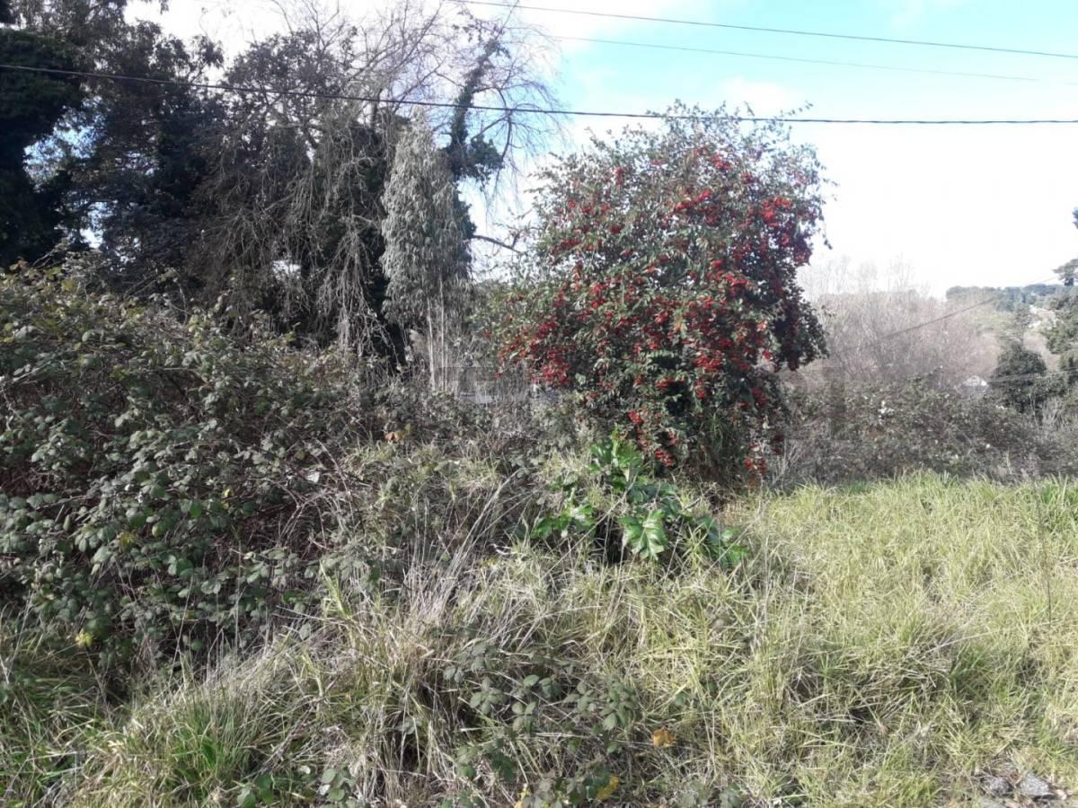 Foto de VENDO LOTE EN SIERRA DE LOS PADRES ZONA GOLF, imagen 3
