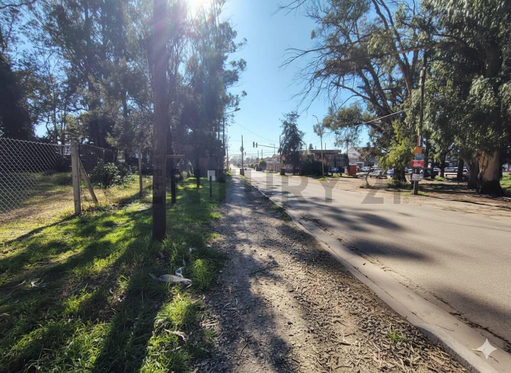 Foto de Venta Terreno en Bosque Peralta Ramos, imagen 3