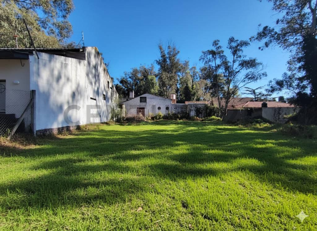Foto de Venta Terreno en Bosque Peralta Ramos, imagen 4