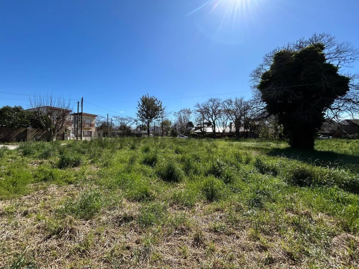 Foto de Gran lote en esquina – Los Pinares - 1850 m2, imagen 2