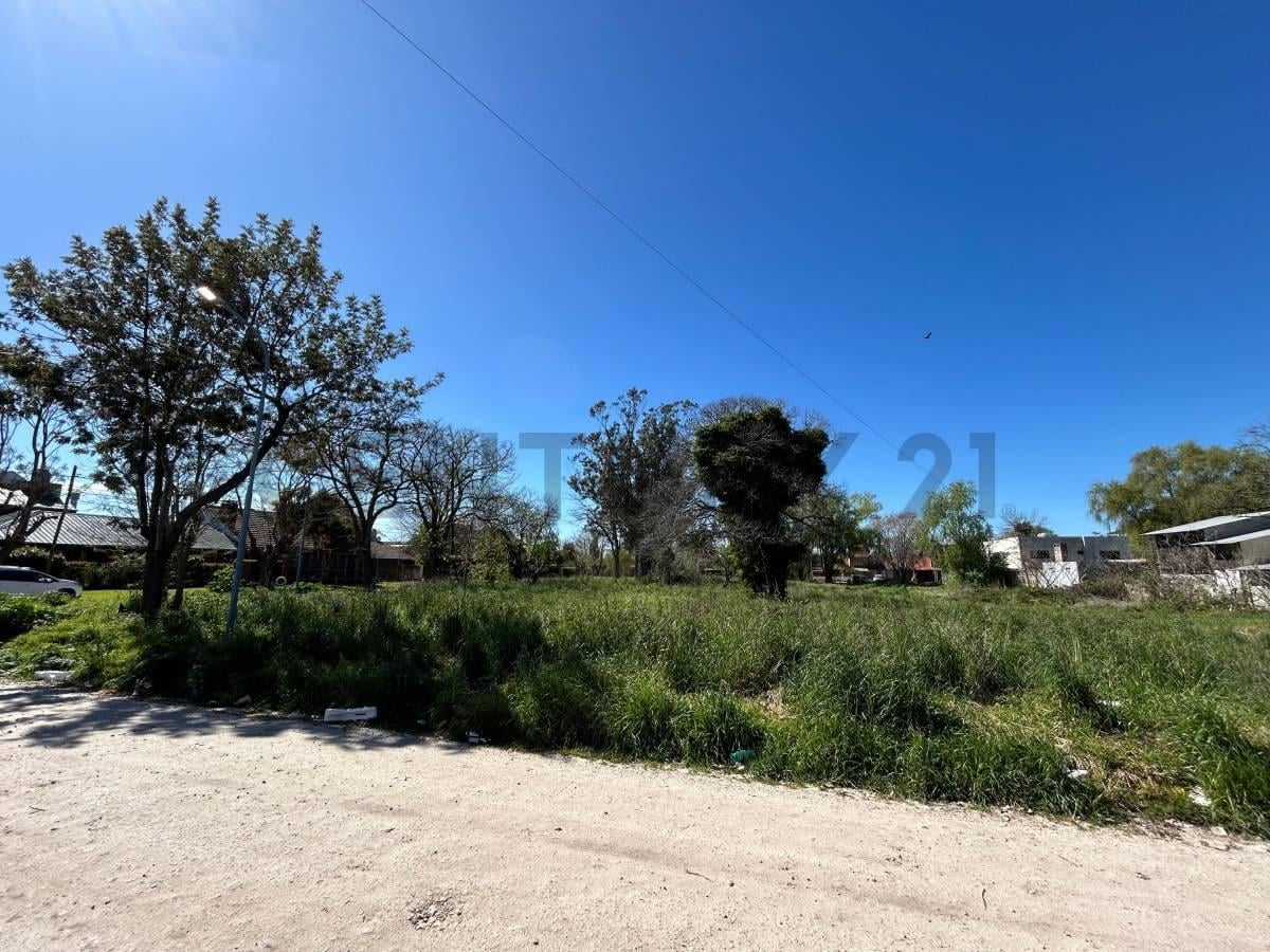 Foto de Gran lote en esquina – Los Pinares - 1850 m2, imagen 5