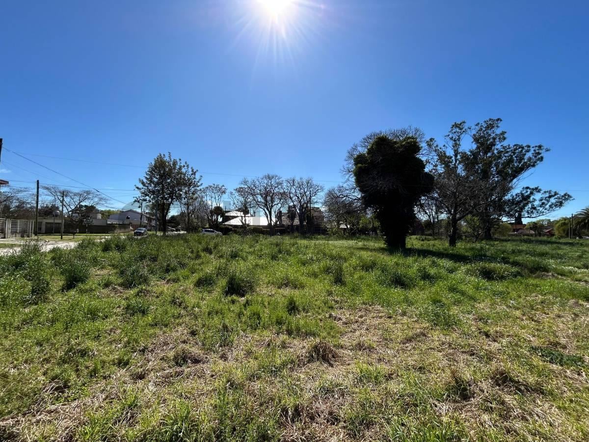 Foto de Gran lote en esquina – Los Pinares - 1850 m2, imagen 1