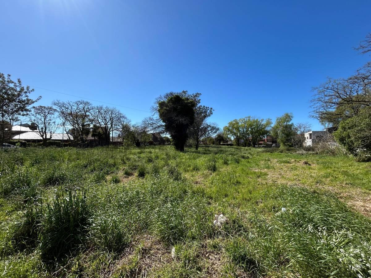 Foto de Gran lote en esquina – Los Pinares - 1850 m2, imagen 4