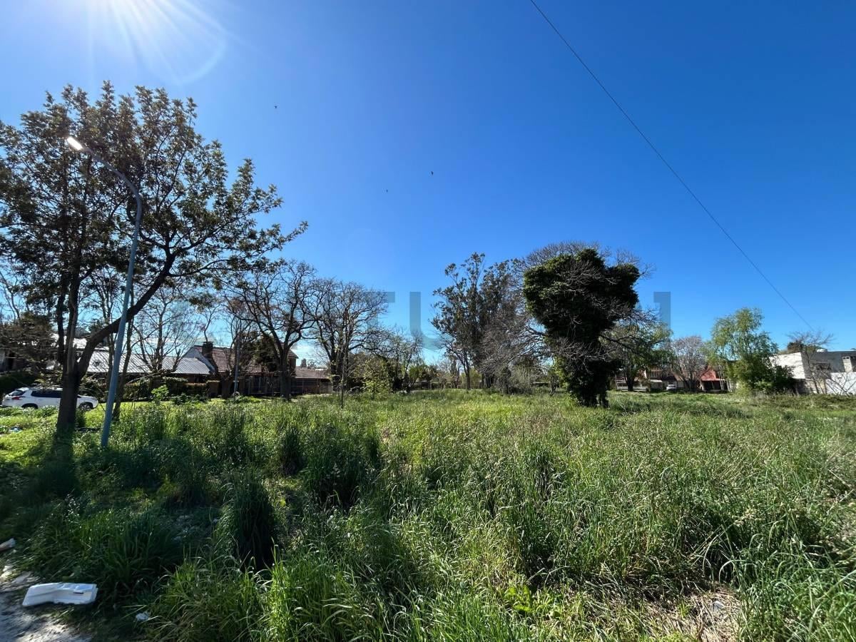 Foto de Gran lote en esquina – Los Pinares - 1850 m2, imagen 3