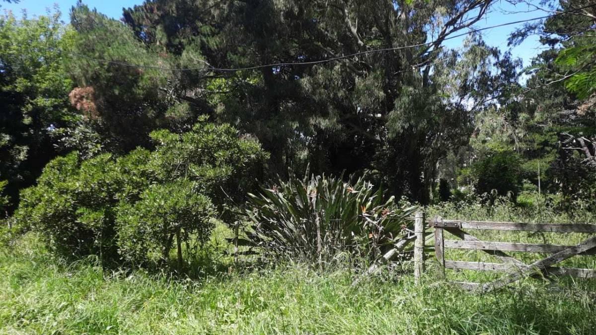 Foto de Vendo Lote en Sierra de los Padres., imagen 5