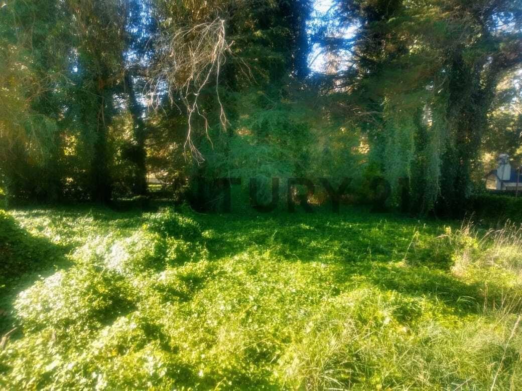 Foto de Vendo Lote en Sierra de los Padres., imagen 1