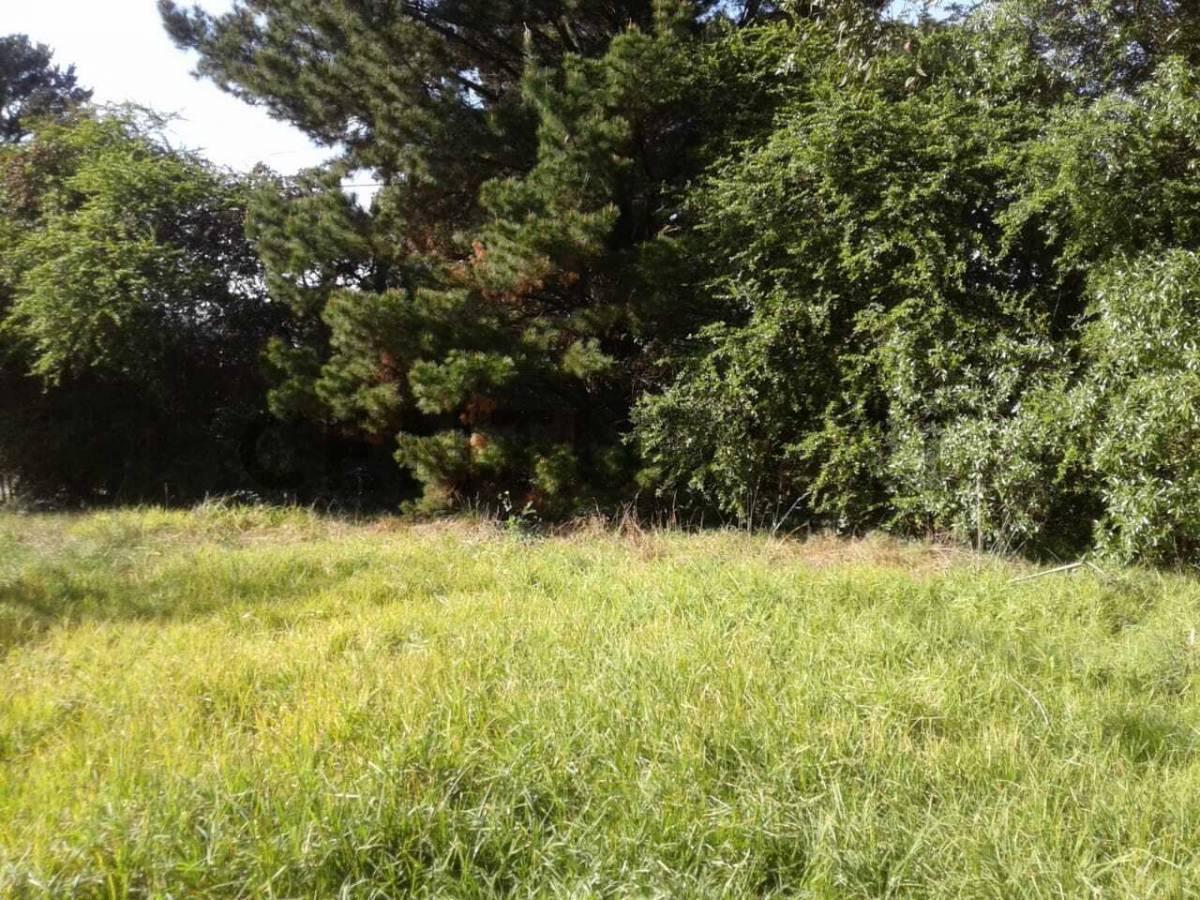 Foto de Vendo Lote en Sierra de los Padres., imagen 2