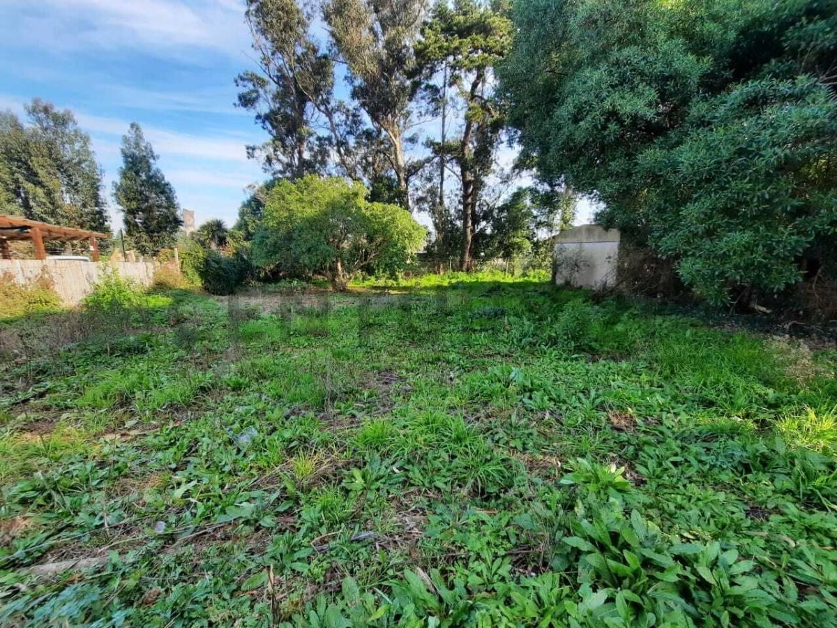 Foto de Vendo Lote en Sierra de los Padres., imagen 3