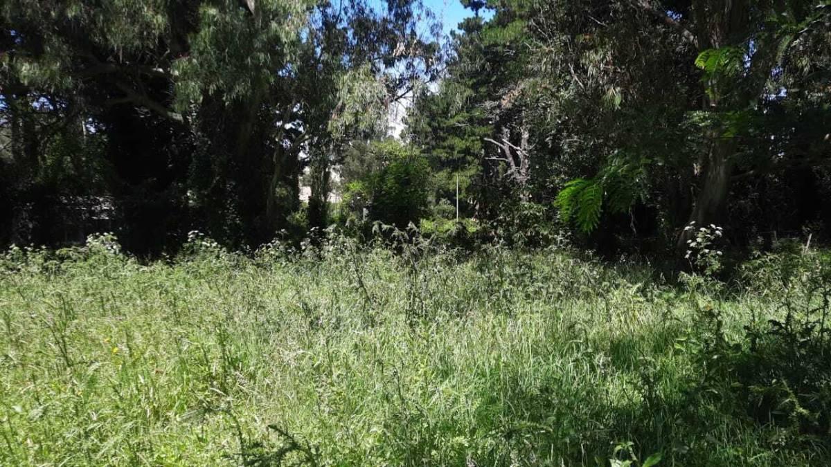 Foto de Vendo Lote en Sierra de los Padres., imagen 4
