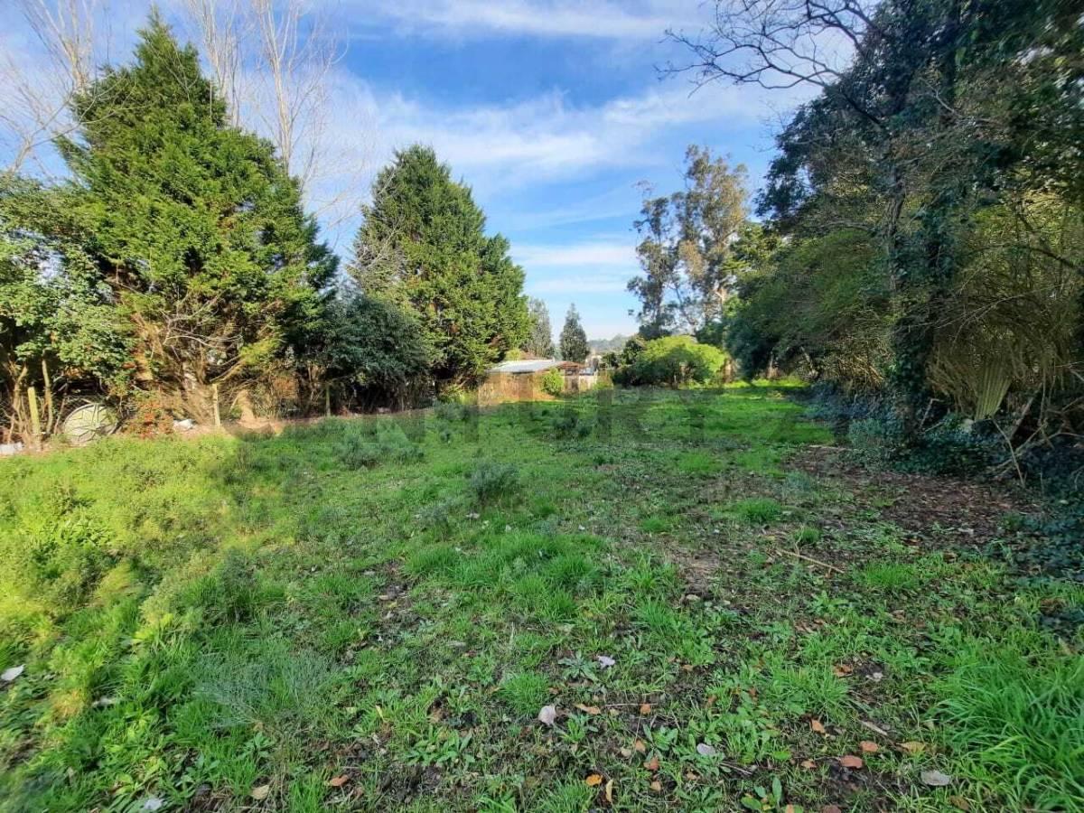 Foto de Venta lote- Sierra de los Padres, imagen 3