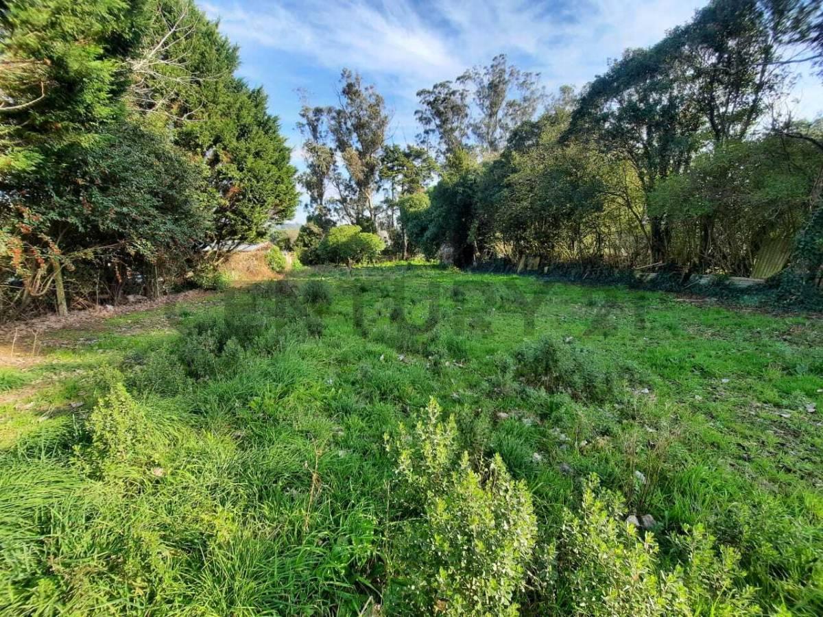Foto de Venta lote- Sierra de los Padres, imagen 4