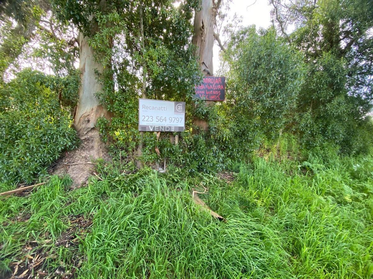 Foto de Venta lote- Sierra de los Padres, imagen 2
