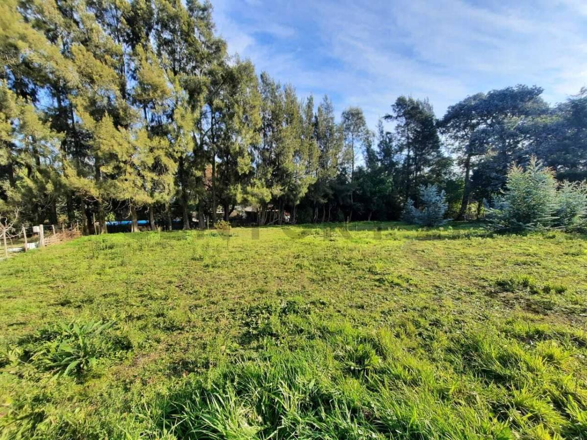 Foto de Lote en Sierra de los Padres, Mar del Plata, imagen 3
