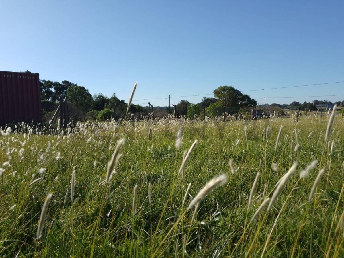 Foto de Venta de Lote Chapadmalal, imagen 3
