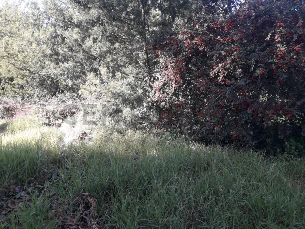 Foto de VENDO TERRENO EN SIERRA DE LOS PADRES ZONA GOLF, imagen 3