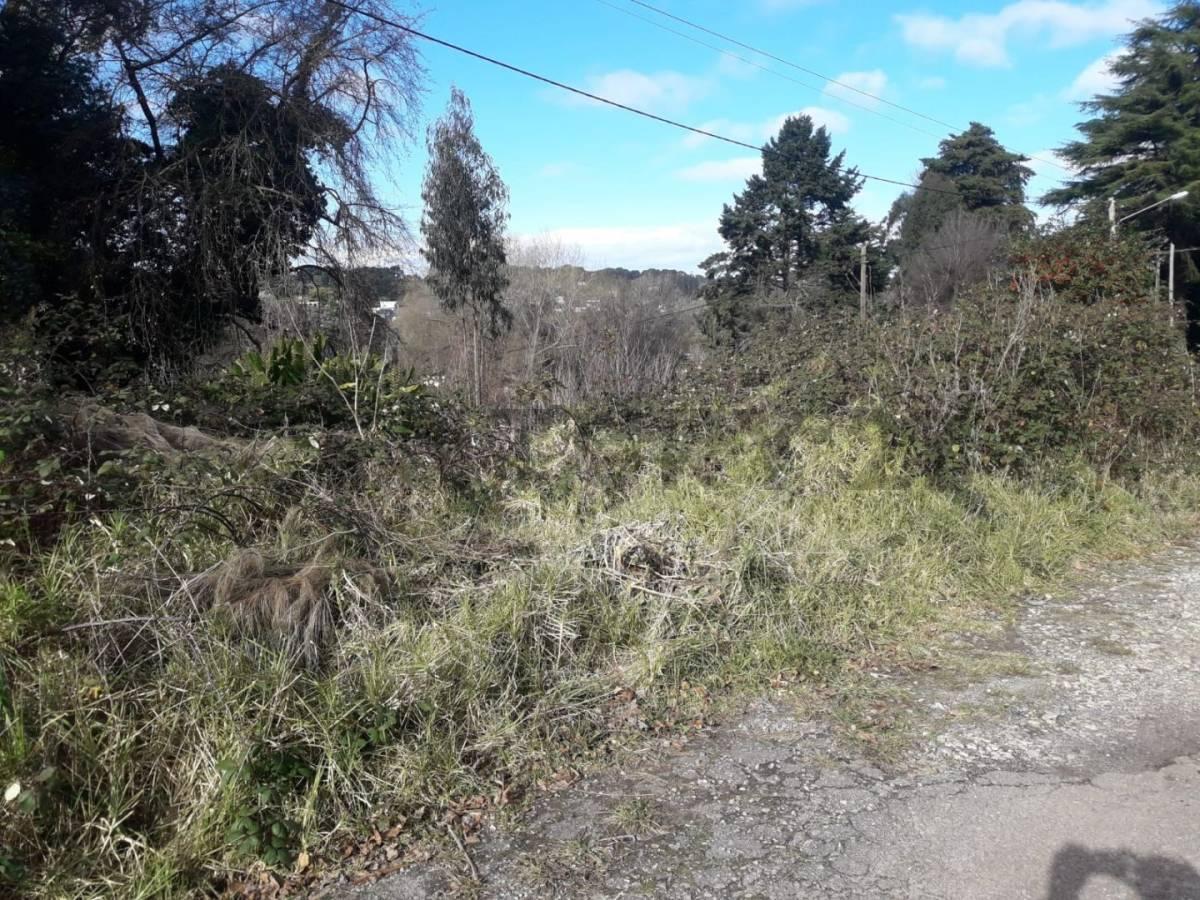 Foto de VENDO TERRENO EN SIERRA DE LOS PADRES ZONA GOLF, imagen 1