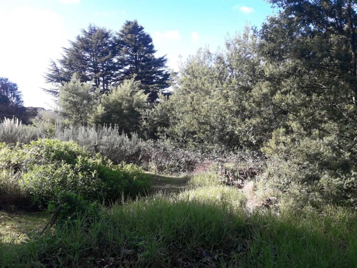 Foto de VENDO TERRENO EN SIERRA DE LOS PADRES ZONA GOLF, imagen 5