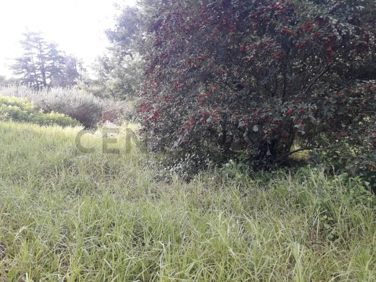 Foto de VENDO TERRENO EN SIERRA DE LOS PADRES ZONA GOLF, imagen 4