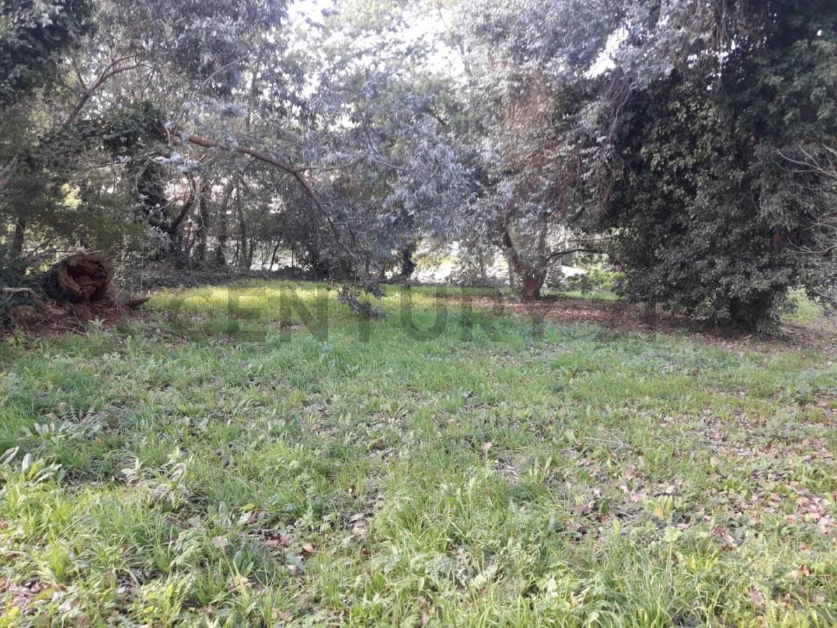Foto de VENDO TERRENO EN SIERRA DE LOS PADRES ZONA GOLF, imagen 2