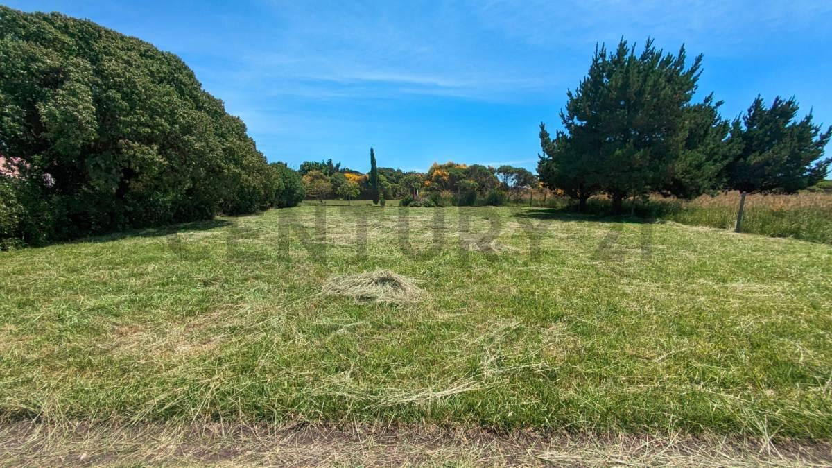 Foto de Venta excelente Lote San Eduardo del Mar, imagen 1