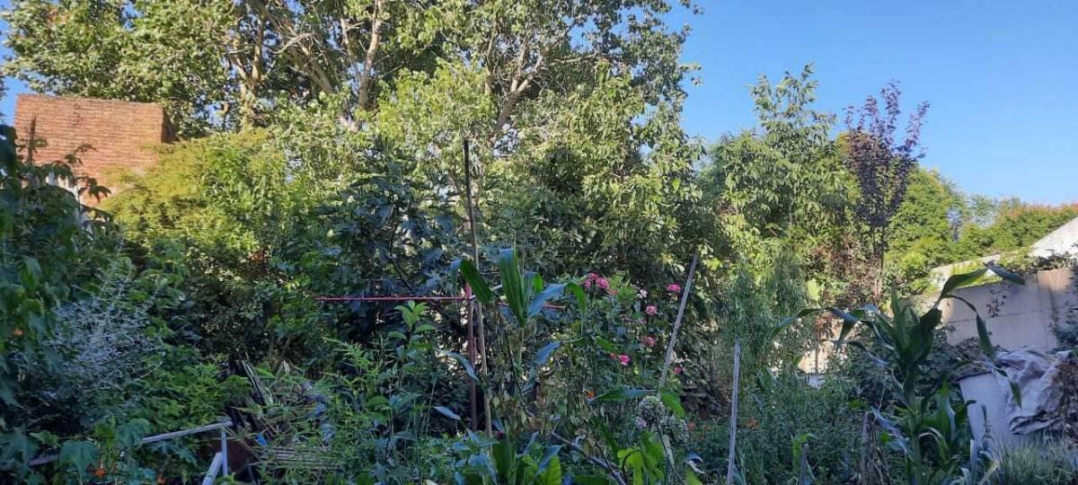Foto de Vendo lote en Barrio Los Pinares, imagen 2
