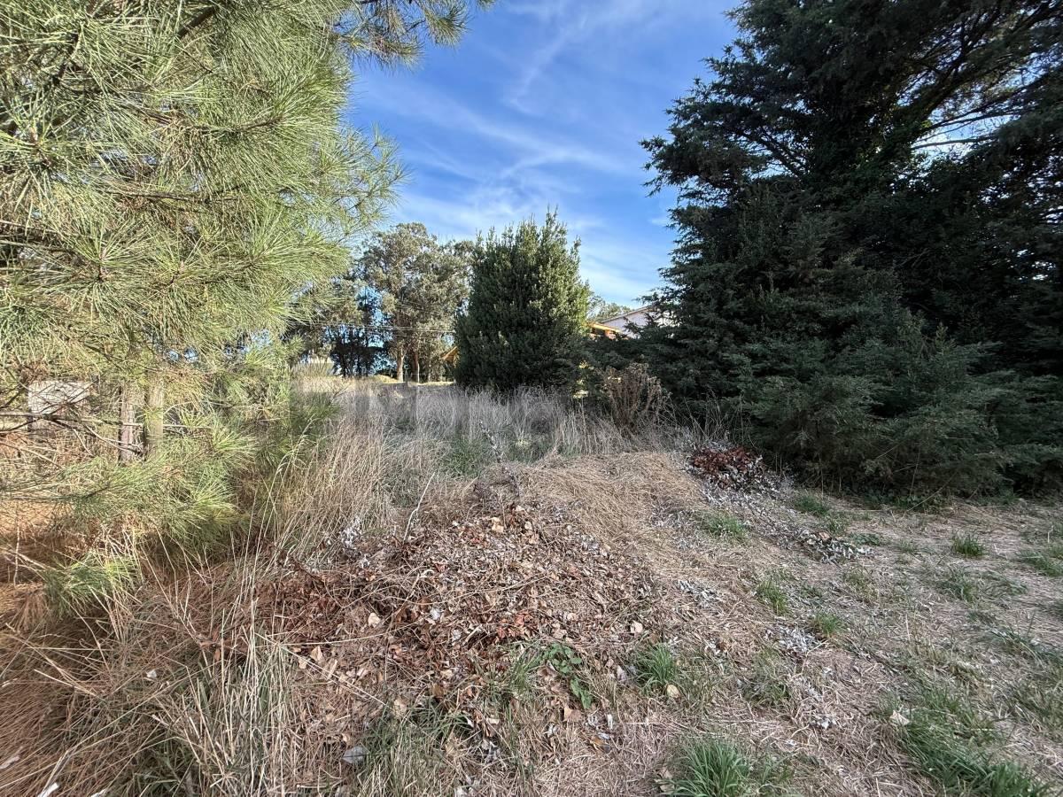 Foto de Venta de lote en Chapadmalal – Ubicación privilegiada, imagen 5