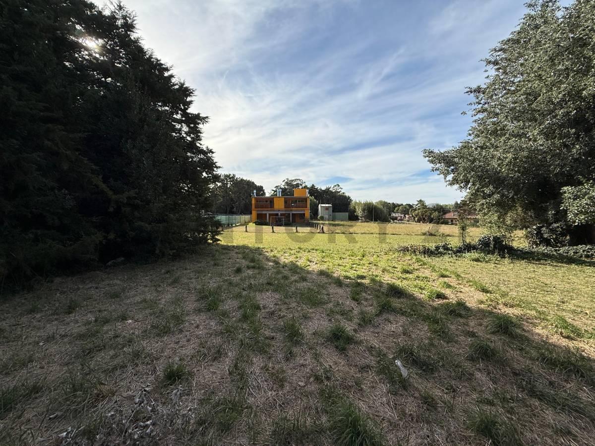 Foto de Venta de lote en Chapadmalal – Ubicación privilegiada, imagen 3