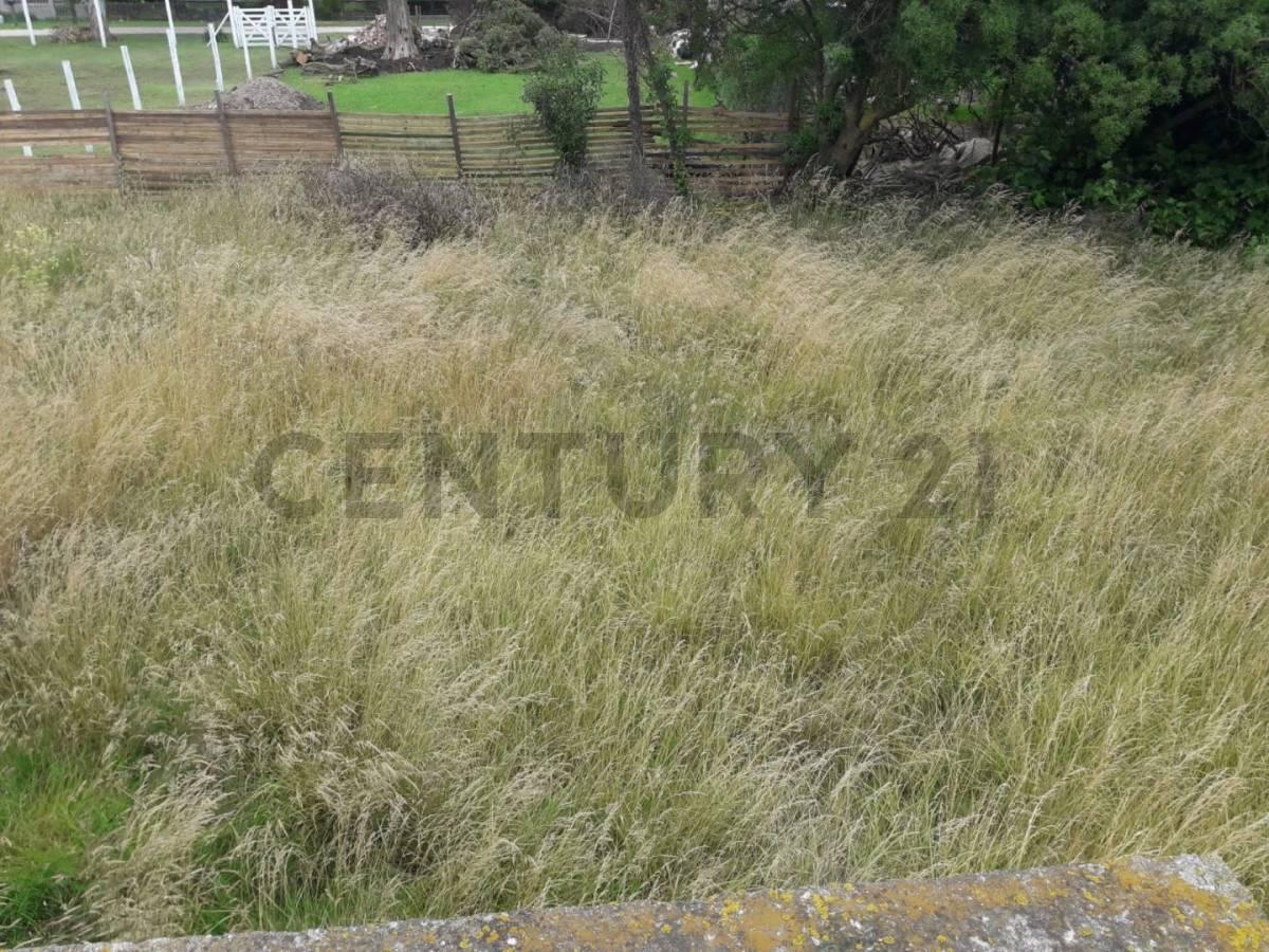 Foto de VENDO TERRENO FRENTE AL MAR EN FELIX U CAMET, imagen 1
