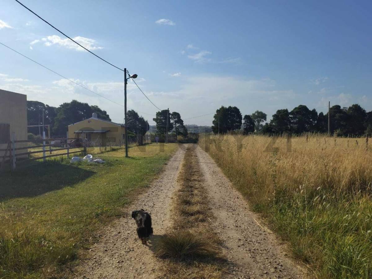 Foto de Venta lote Acantilados, imagen 5