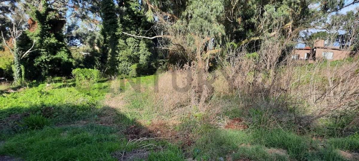 Foto de TERRENO EN VENTA - SIERRA DE LOS PADRES - 645 m², imagen 5