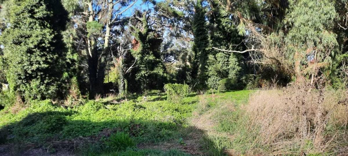 Foto de TERRENO EN VENTA - SIERRA DE LOS PADRES - 645 m², imagen 2