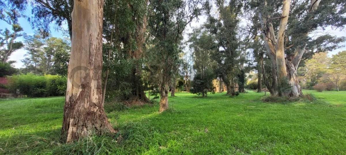 Foto de VENTA OPORTUNIDAD LOTE, BARRIO LA ARMONIA, MAR CHIQUITA, imagen 4