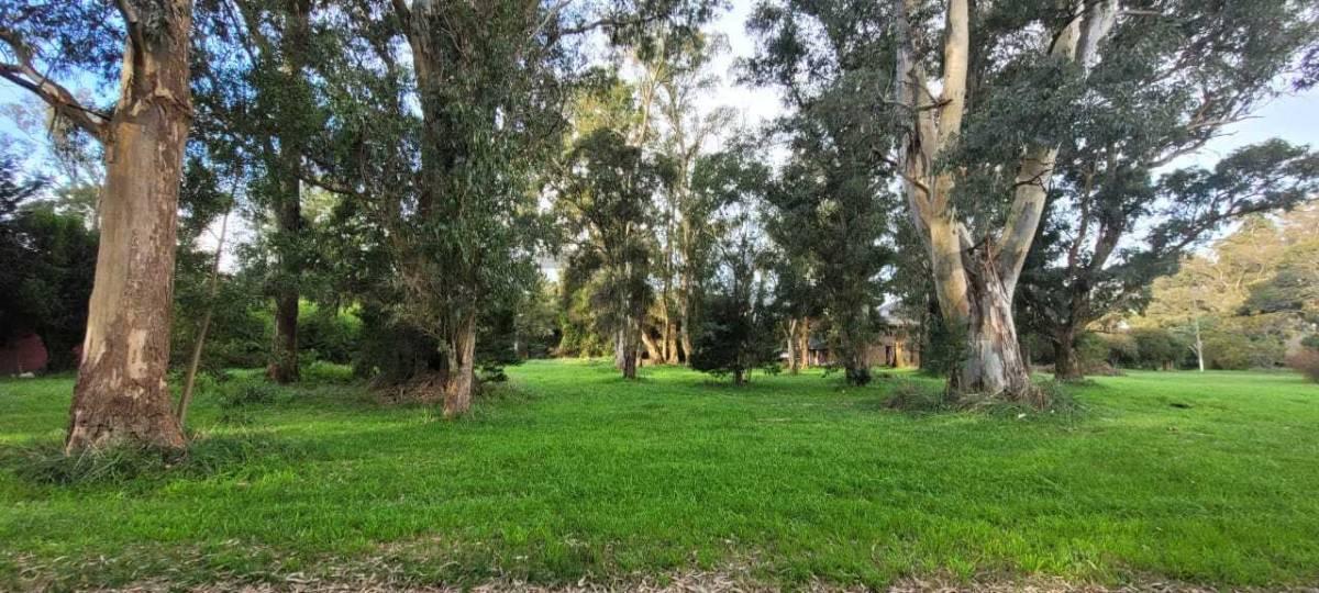 Foto de VENTA OPORTUNIDAD LOTE, BARRIO LA ARMONIA, MAR CHIQUITA, imagen 5