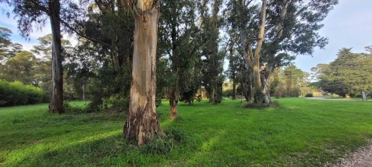 Foto de VENTA OPORTUNIDAD LOTE, BARRIO LA ARMONIA, MAR CHIQUITA, imagen 2