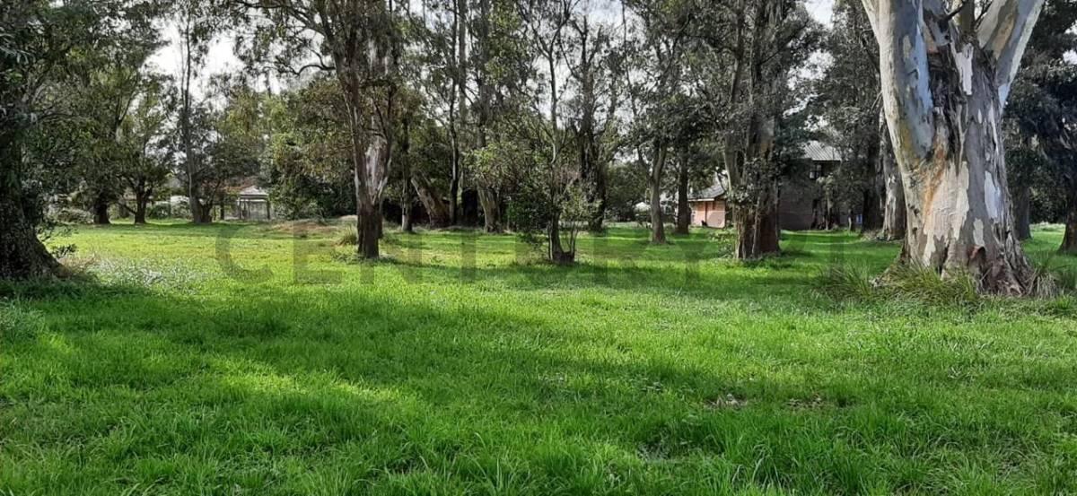 Foto de VENTA OPORTUNIDAD LOTE, BARRIO LA ARMONIA, MAR CHIQUITA, imagen 3