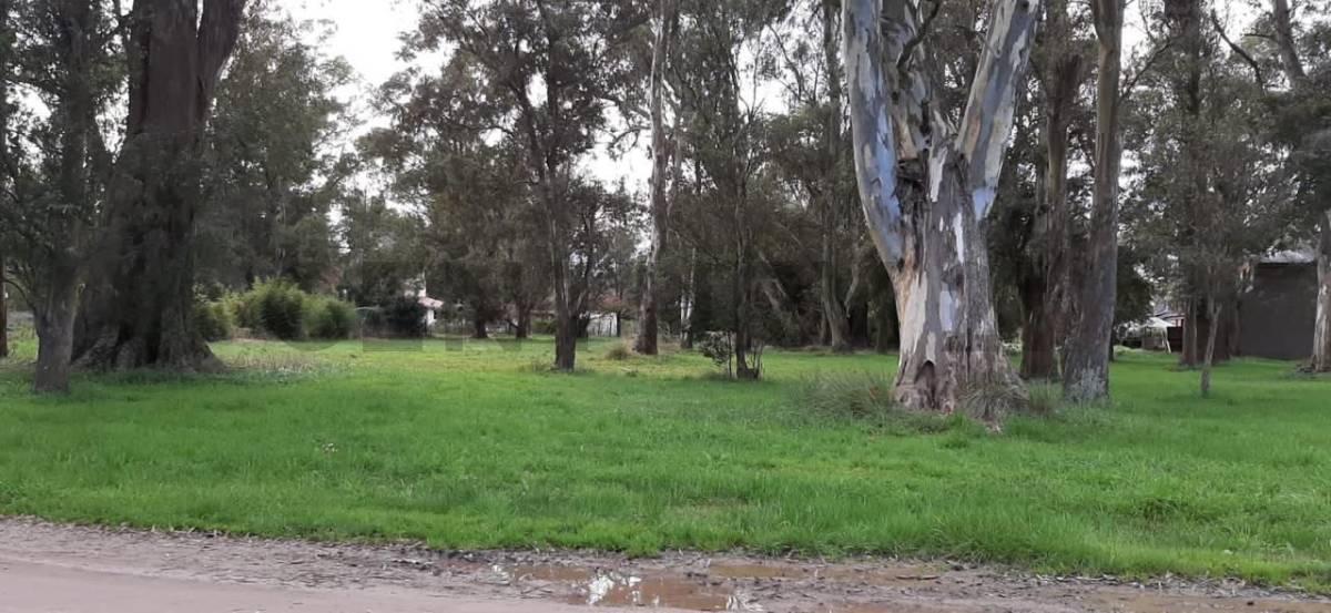 Foto de VENTA OPORTUNIDAD LOTE, BARRIO LA ARMONIA, MAR CHIQUITA, imagen 1