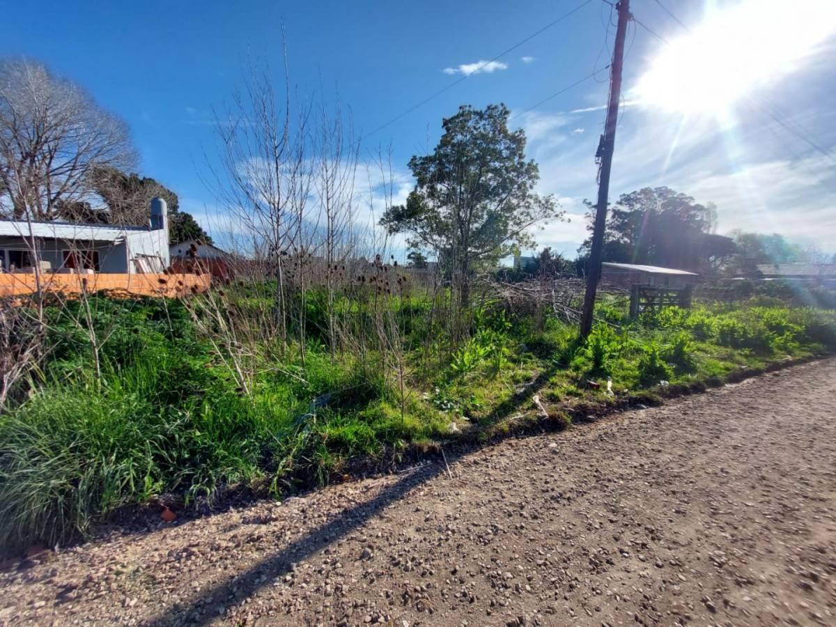 Foto de LOTE EN BARRIO PARQUE PEÑA MAR DEL PLATA F. 67071, imagen 5