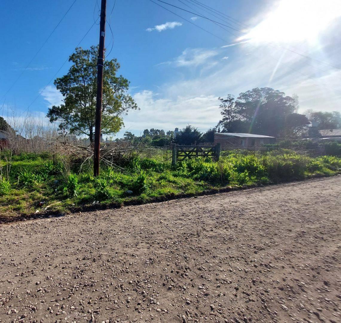 Foto de LOTE EN BARRIO PARQUE PEÑA MAR DEL PLATA F. 67071, imagen 2