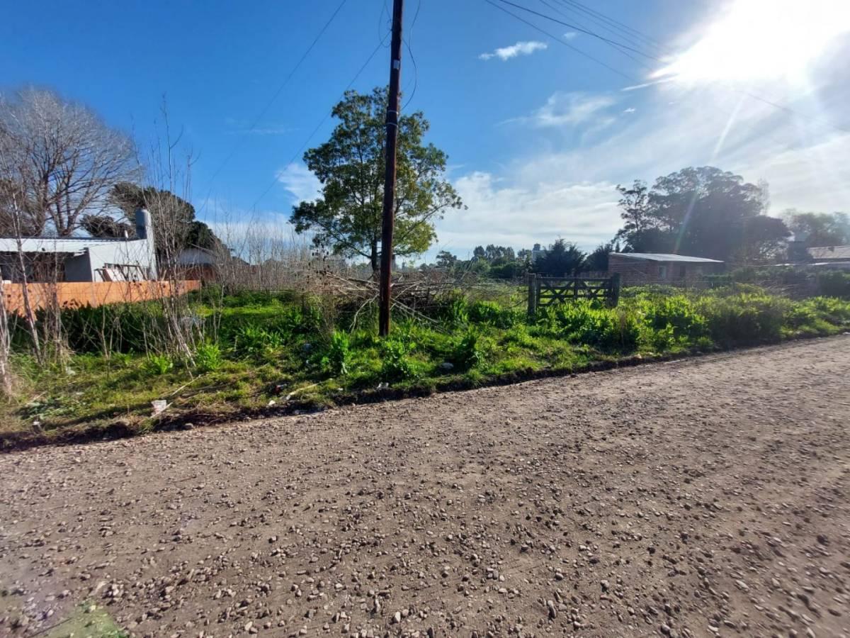 Foto de LOTE EN BARRIO PARQUE PEÑA MAR DEL PLATA F. 67071, imagen 4