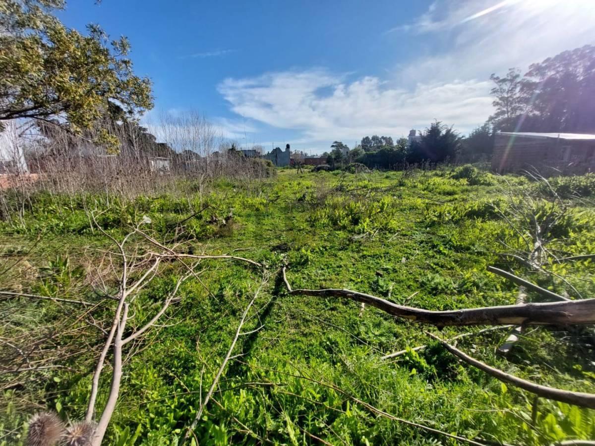 Foto de LOTE EN BARRIO PARQUE PEÑA MAR DEL PLATA F. 67071, imagen 3