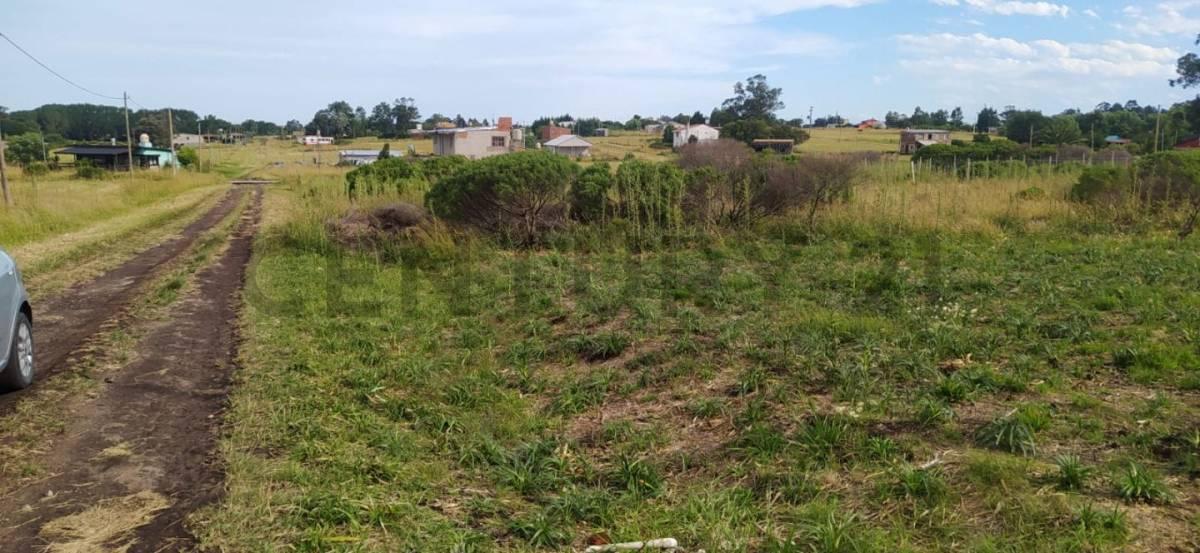 Foto de Lote en venta, imagen 3