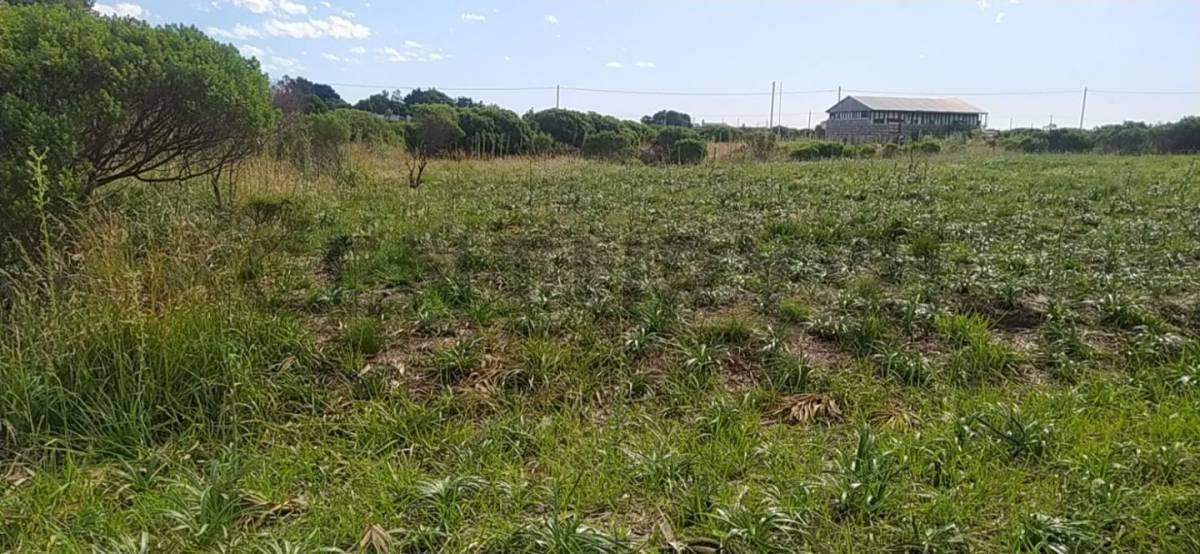 Foto de Lote en venta, imagen 4