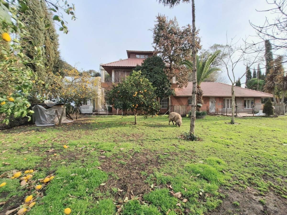 Foto de Campo de 5has. en zona Las Retamas, imagen 2