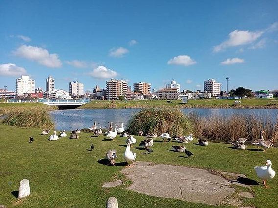 Foto de LOTE DE 382 M2 PUNTA MOGOTES SOBRE AV.DE LOS TRABAJADORES, imagen 2
