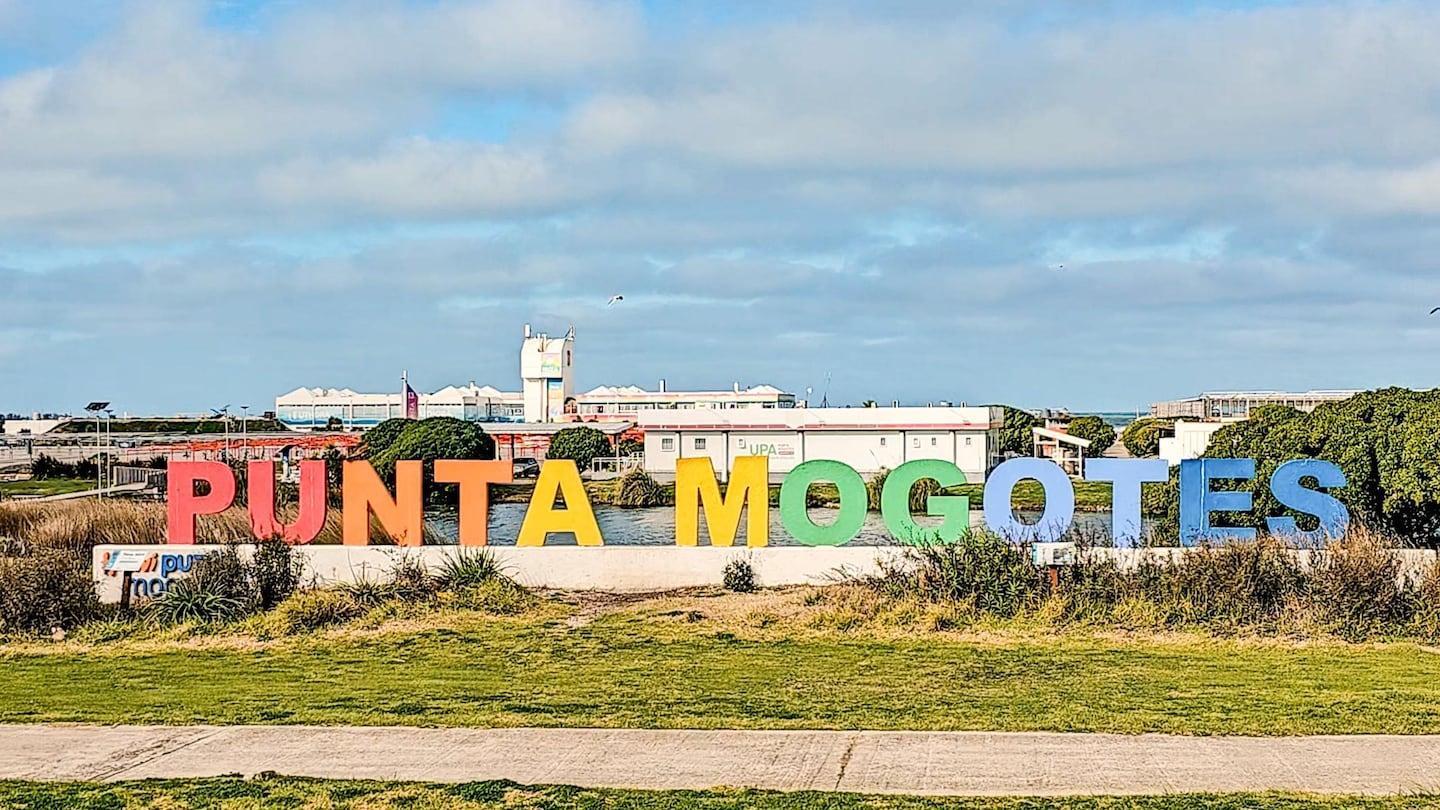 Foto de LOTE DE 382 M2 PUNTA MOGOTES SOBRE AV.DE LOS TRABAJADORES, imagen 5