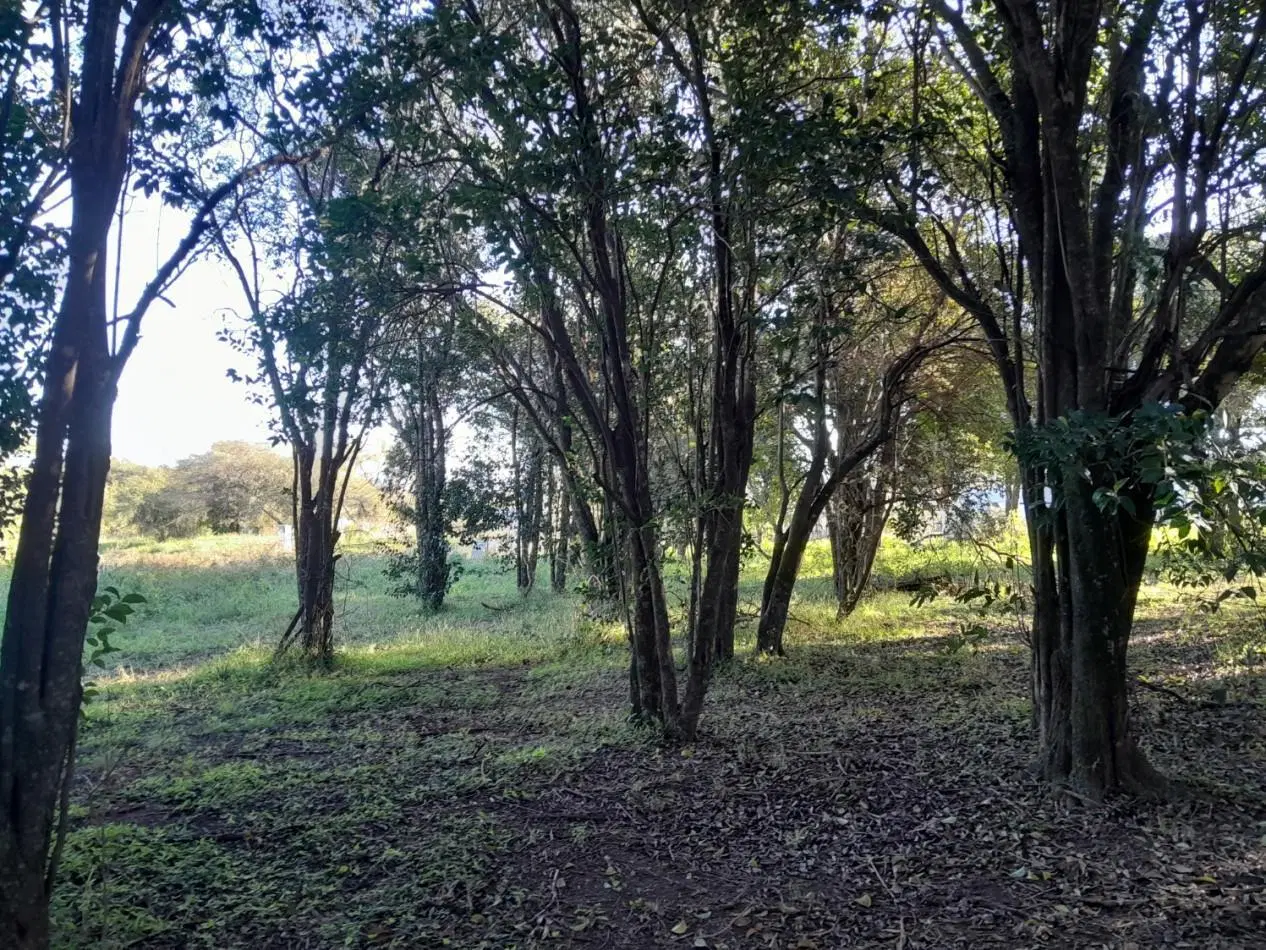 VENDO LOTE 476 M² EN AIRES DEL NORDESTE - VISTA DIRECTA A LAS SIERRAS 5