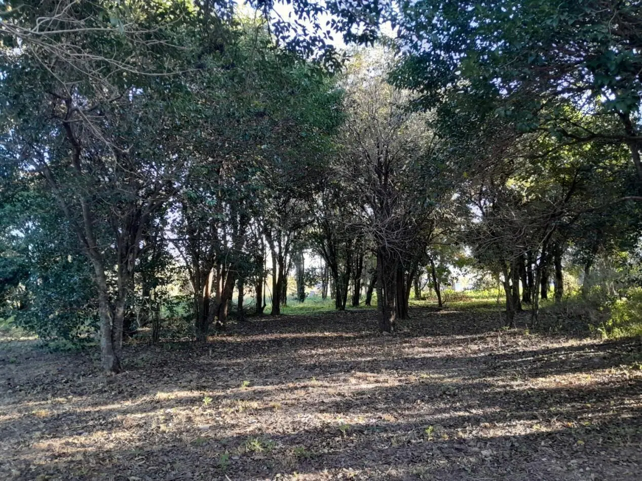 VENDO LOTE 476 M² EN AIRES DEL NORDESTE - VISTA DIRECTA A LAS SIERRAS 4