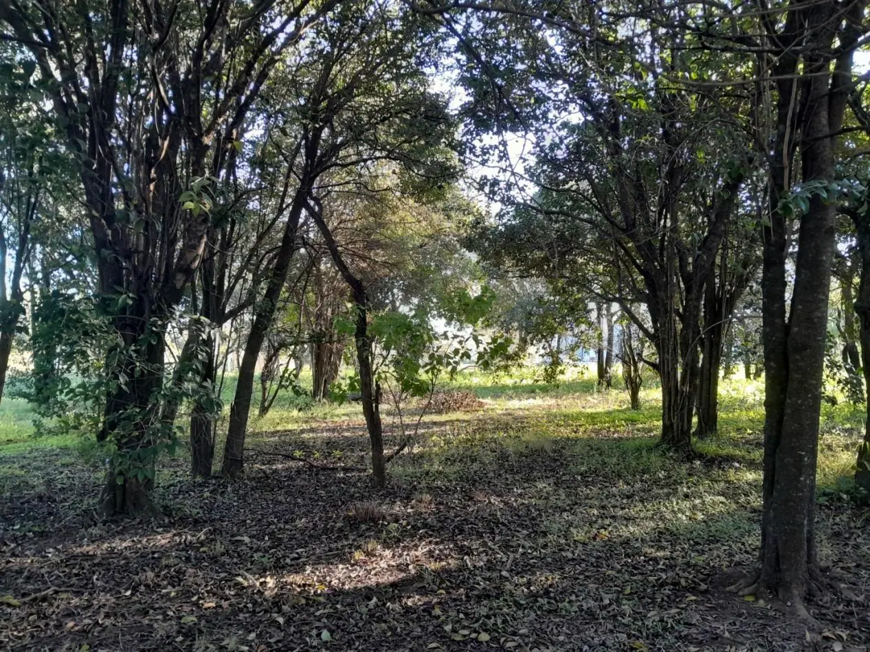 VENDO LOTE 476 M² EN AIRES DEL NORDESTE - VISTA DIRECTA A LAS SIERRAS 3