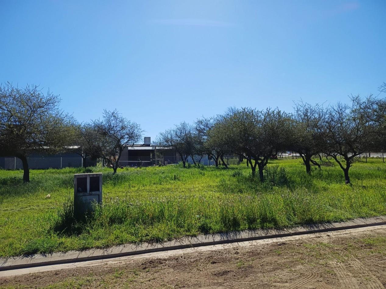 Foto de VENDO LOTE 1.223 m² - BELA VISTA, imagen 5